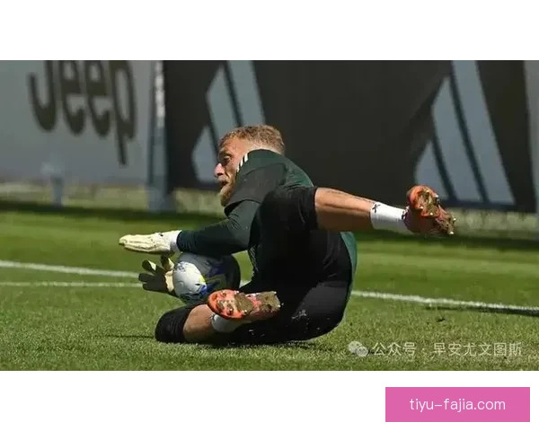 国米尤文两队竞逐阿利松新门将