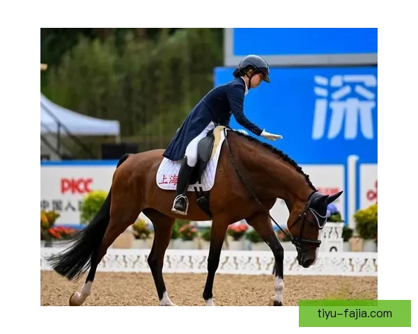 马术盛装舞步个人赛 陈雁仪晋级自选动作项目